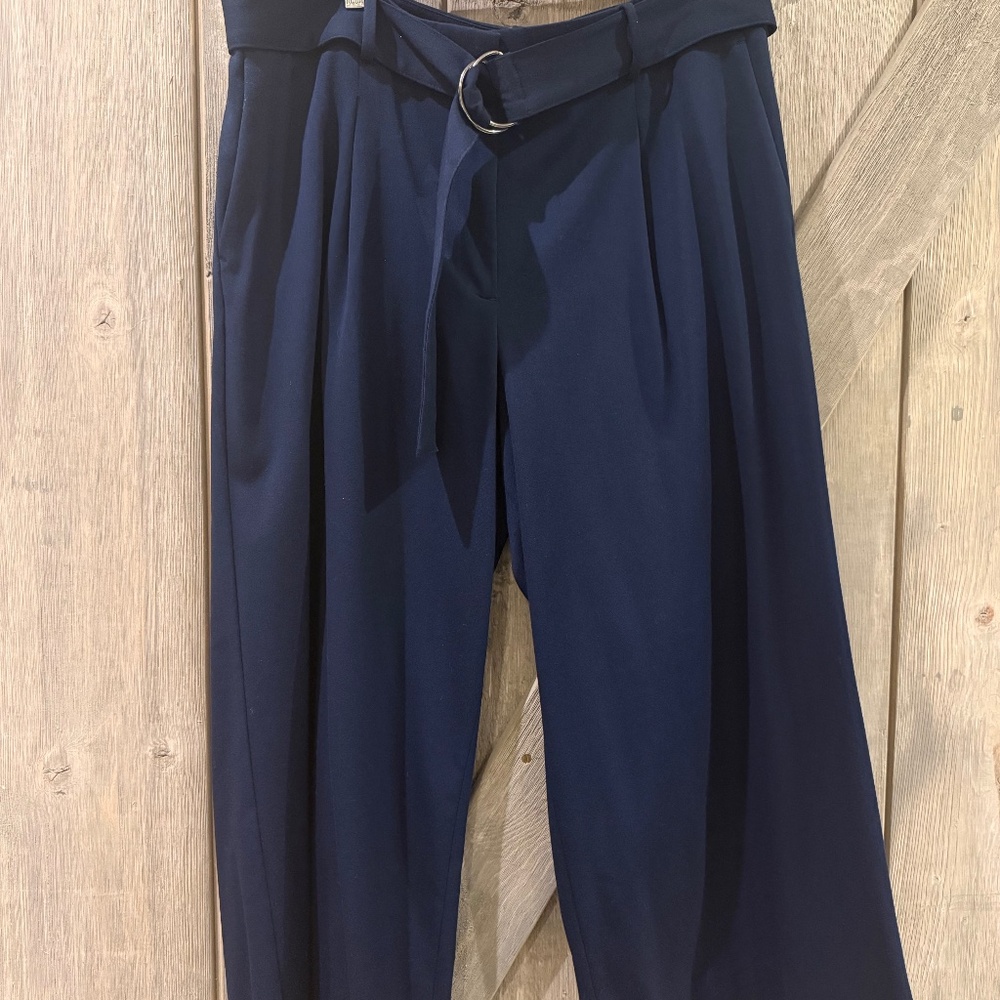 Pleated wide leg crops - Ann Taylor